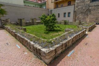 Convent Cultivation #1
