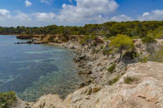 Cala Martina  Coastline #4
