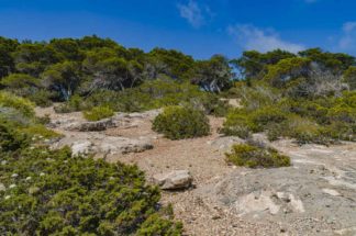 Cala Martina  Coastline #10